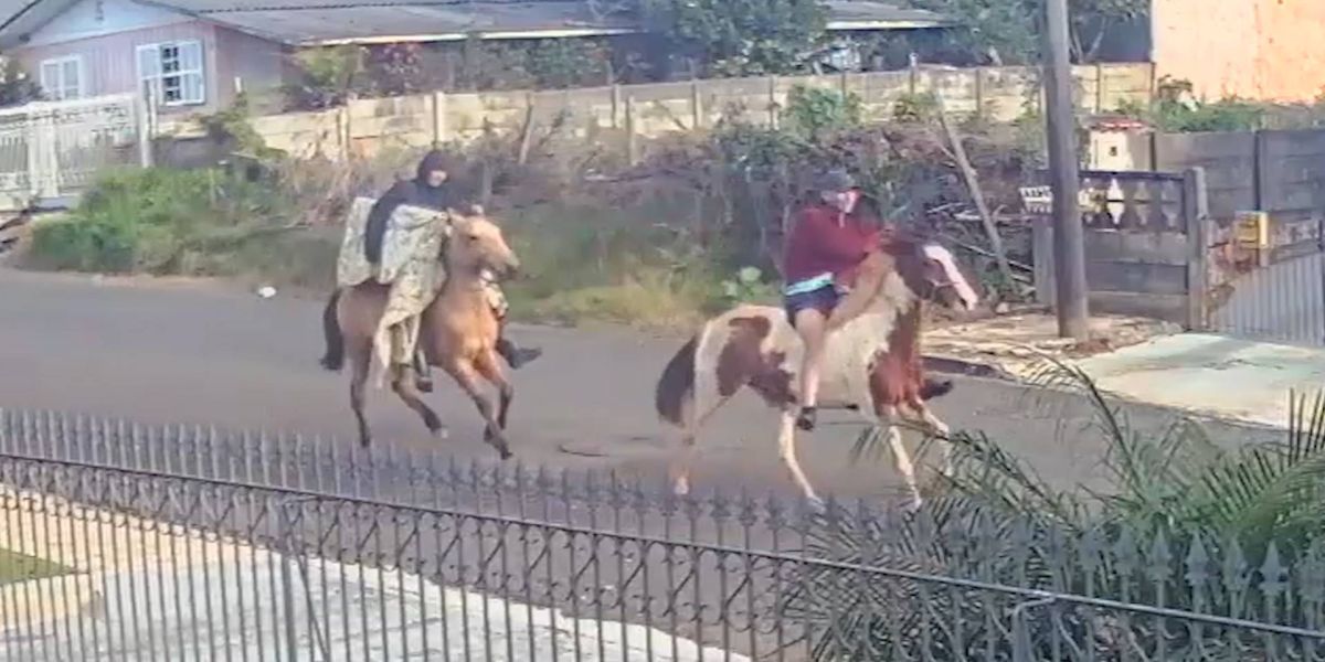 Bandidos a cavalo furtam TV em bairro de Ponta Grossa; Veja o momento da fuga