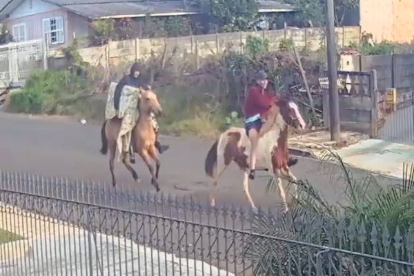 Imagem referente a notícia: Bandidos a cavalo furtam TV em bairro de Ponta Grossa; Veja o momento da fuga