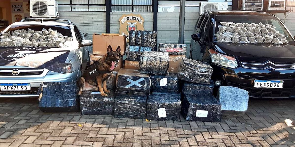 Homem é preso com mais de 800 quilos de maconha em Foz do Iguaçu