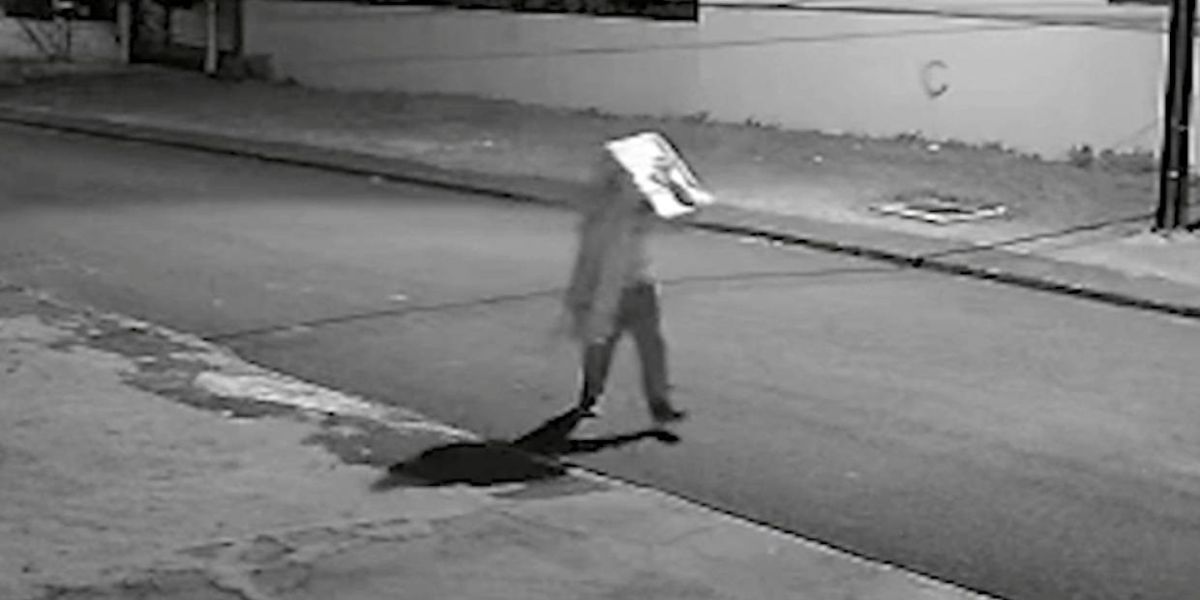 Câmera de segurança registra bandido fugindo com tv roubada no Bairro Santa Felicidade