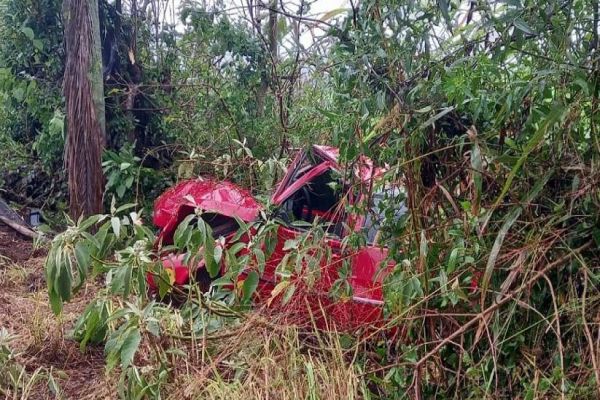 Após perder controle da direção, motorista acerta coqueiro na PR-475