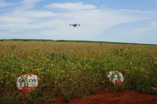 Uso de drones elimina perdas causadas por máquinas na plantação de soja em aplicação de defensivos