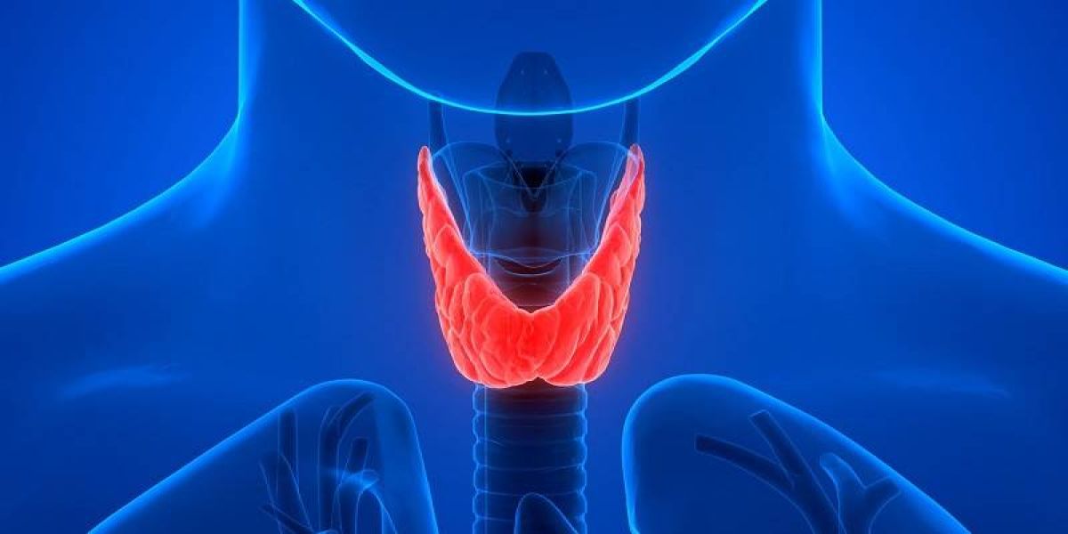 Tireoide: Que glândula é essa e como mantê-la saudável?