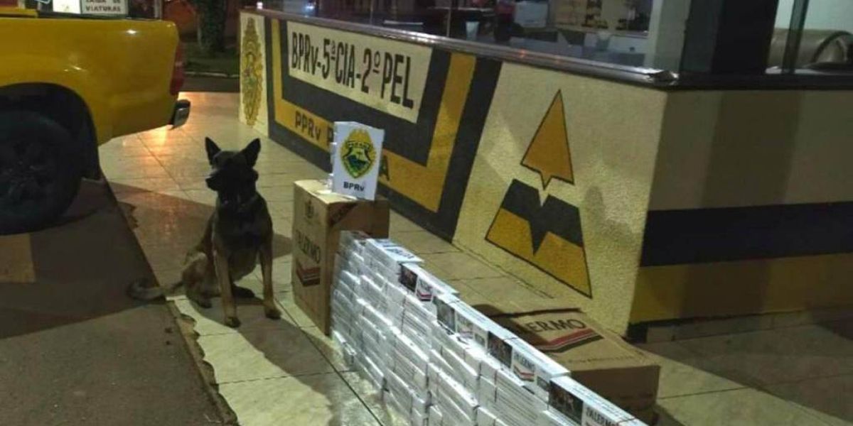 Balanço de Corpus Christi nas rodovias estaduais aponta aumento de prisões e abordagens