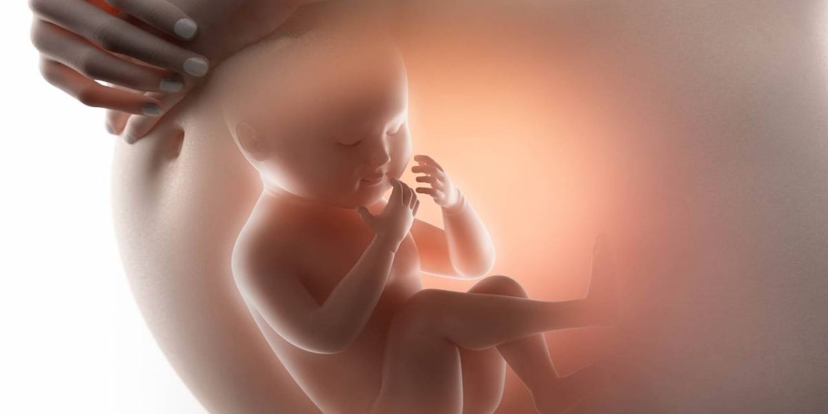 CCJ analisa emenda do Deputado Marcio Pacheco que garante ao nascituro o direito de defesa à vida