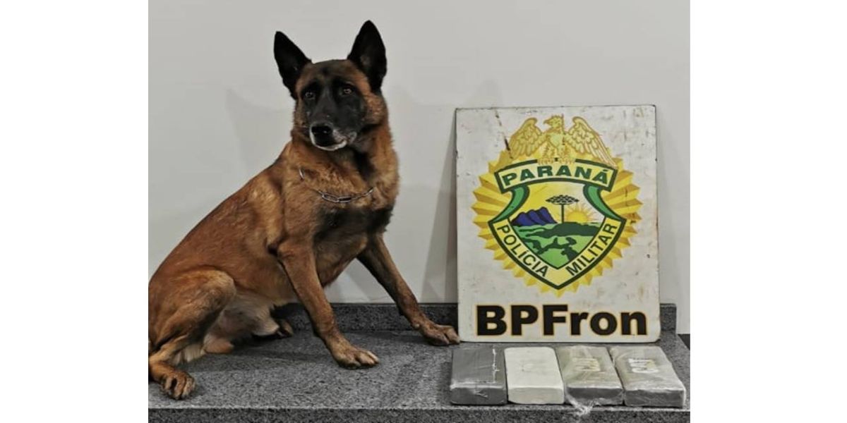 BPFRON apreende cocaína com passageiras de ônibus em Santa Tereza do Oeste