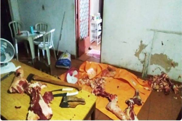 Quadrilha que abatia gado furtado a golpes de machado é presa