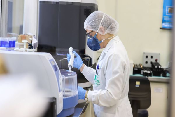 Mesmo sem casos suspeitos, Paraná capacita serviços para detecção da varíola dos macacos