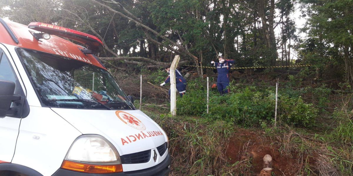 Tragédia: Homem morre esmagado por árvores durante corte no sudoeste do Paraná