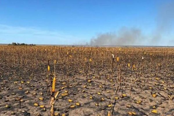 Mulher ateia fogo em lavoura de milho para se vingar de namorado