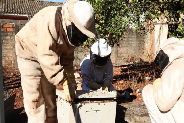 Serviço gratuito de remoção de enxames, já realizou mais de 500 atendimentos em Cascavel