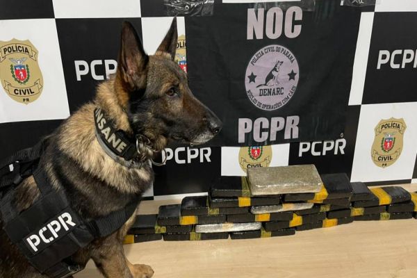 Imagem referente a notícia: Polícia Civil apreende duas pessoas por tráfico na BR-277: A droga estava dentro de um micro-ondas