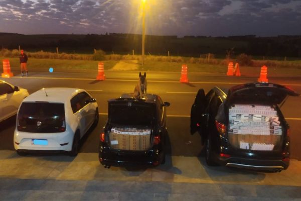 PRE apreende três veículos carregados com maconha e cigarros na PR-488