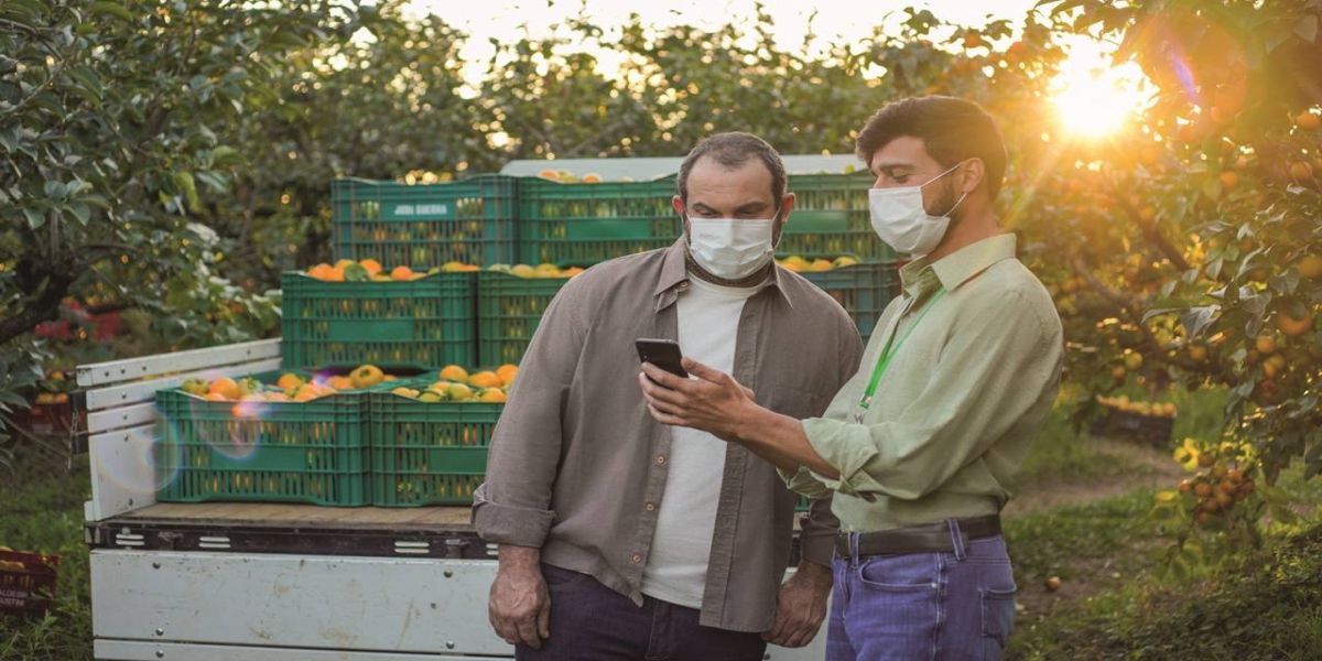 Sicredi disponibiliza R$ 50,6 bilhões para safra 2022/2023