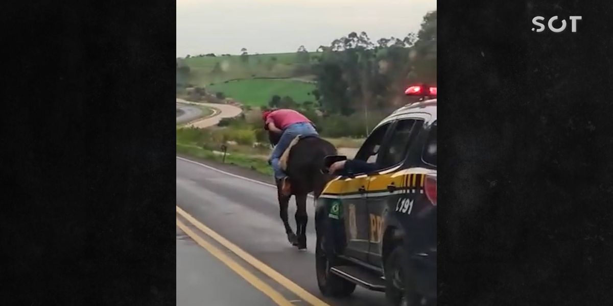 Inusitado: PRF escolta 'cavaleiro bêbado' no meio da rodovia BR-163, em Lindoeste