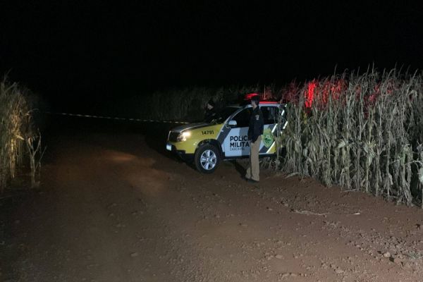 Imagem referente a notícia: Corpo é encontrado em meio ao milharal na PR-180 em Cascavel