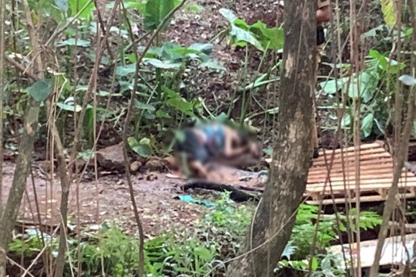 Imagem referente a notícia: Mulher é morta a golpes de facão, no bairro Santa Cruz em Cascavel