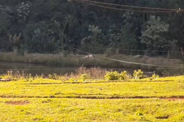 Homem morre afogado em açude em área rural de Cascavel