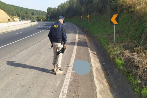 Cabeça decapitada é encontrada pela PRF na BR-376 no Paraná