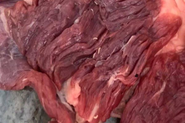 Churrasco termina em ‘vômito coletivo’ após larvas serem achadas em peça de carne; Veja o video