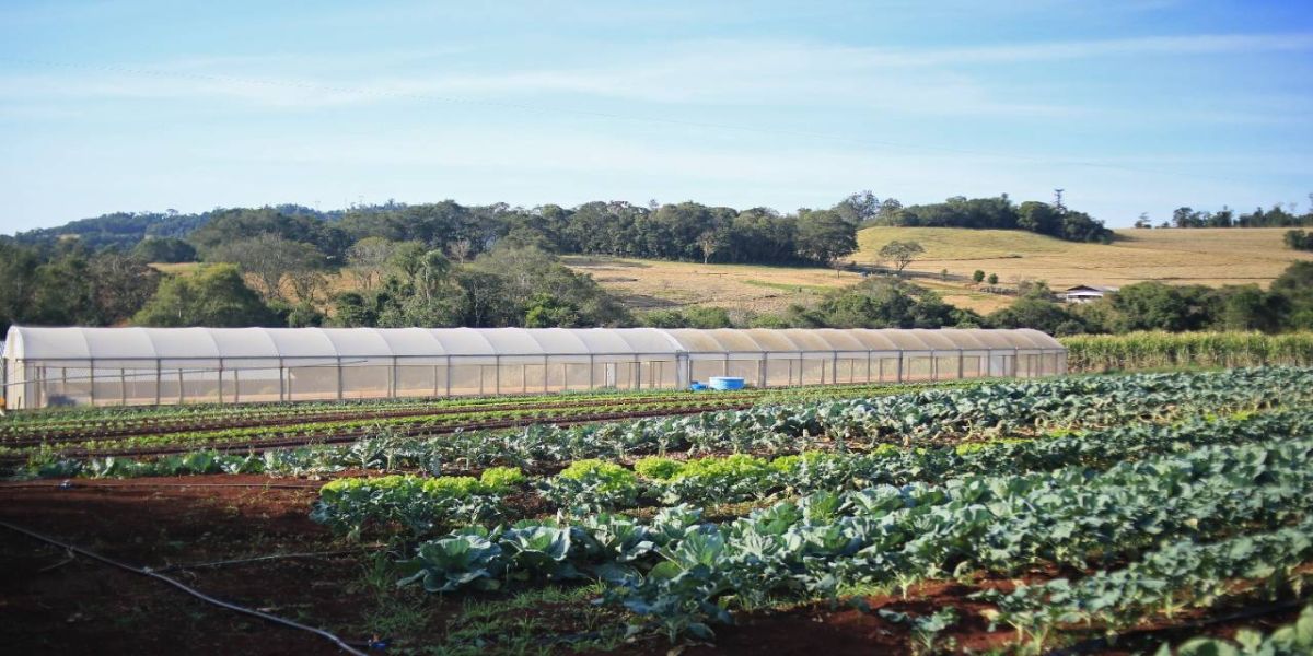 De olho no futuro, Fundetec realiza 1º Fórum de Produção de Alimentos Orgânicos em Cascavel