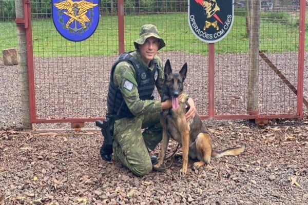 Cão de busca do BPFRON e localiza indivíduo que participou de assalto em Iracema do Oeste