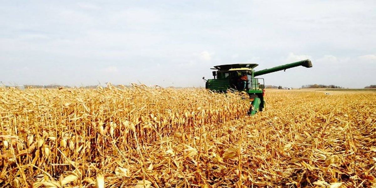 Plano estratégico ao agro de Cascavel vai ser apresentado no Sindicato Rural