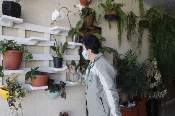 Combate à dengue: Equipe de Endemias já fez mais de 260 mil vistorias neste ano em Cascavel