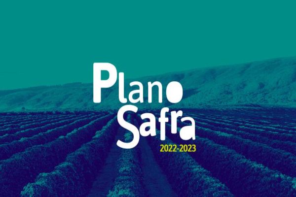 Plano Safra: Sicoob tem a expectativa de crescer 71% em relação ao ano-safra anterior