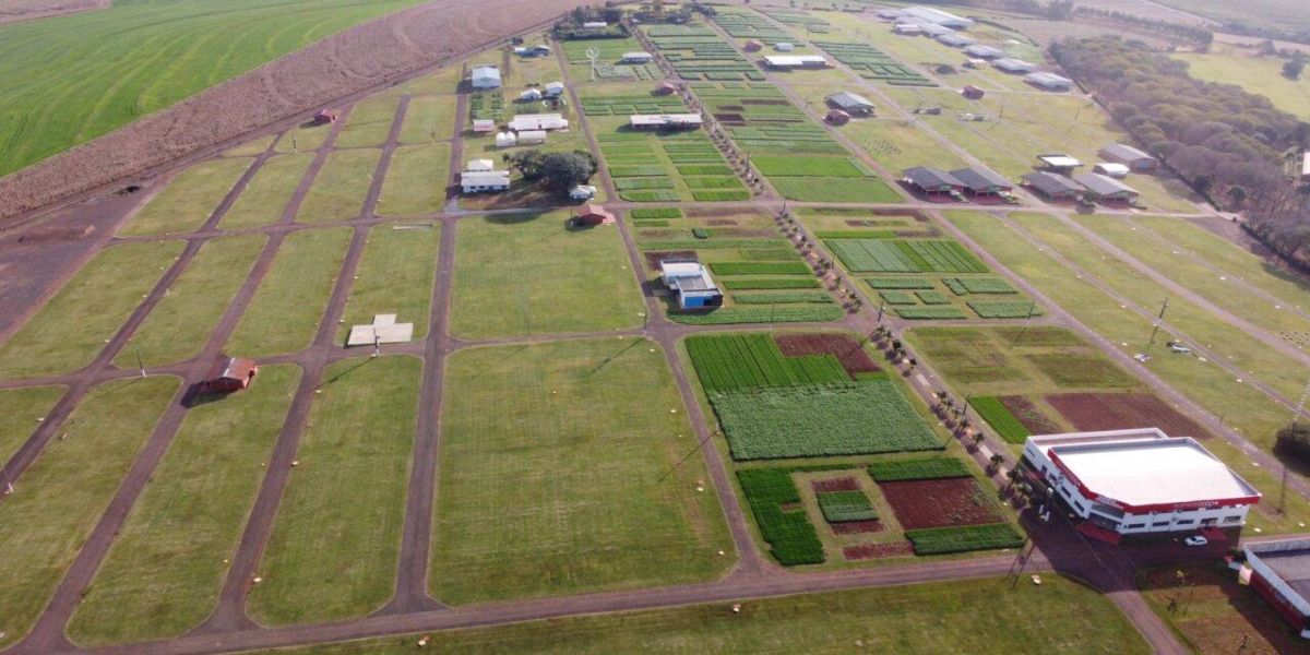 Show Rural de Inverno terá 40 cultivares de alta performance