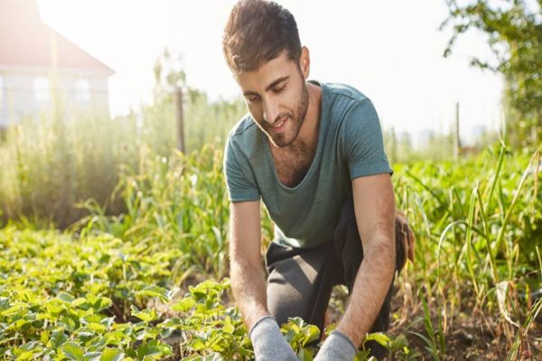 Projeto de lei propõe Bolsa Agro Estudantil para alunos de colégios agrícolas