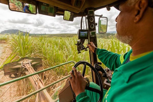 Dia do agricultor: Inclusão financeira e tecnológica contribuem com trabalho desse profissional