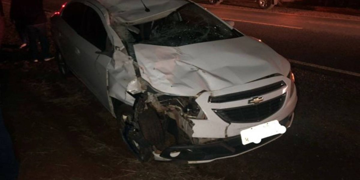 Cavalo é atropelado na PR-488, em Santa Helena