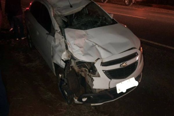 Cavalo é atropelado na PR-488, em Santa Helena