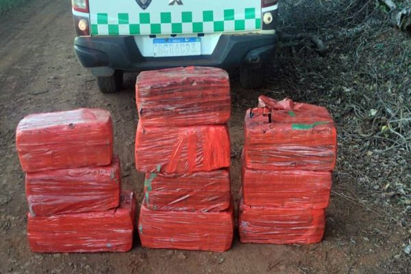 Guarda Municipal realiza grande apreensão de maconha em São João do Oeste