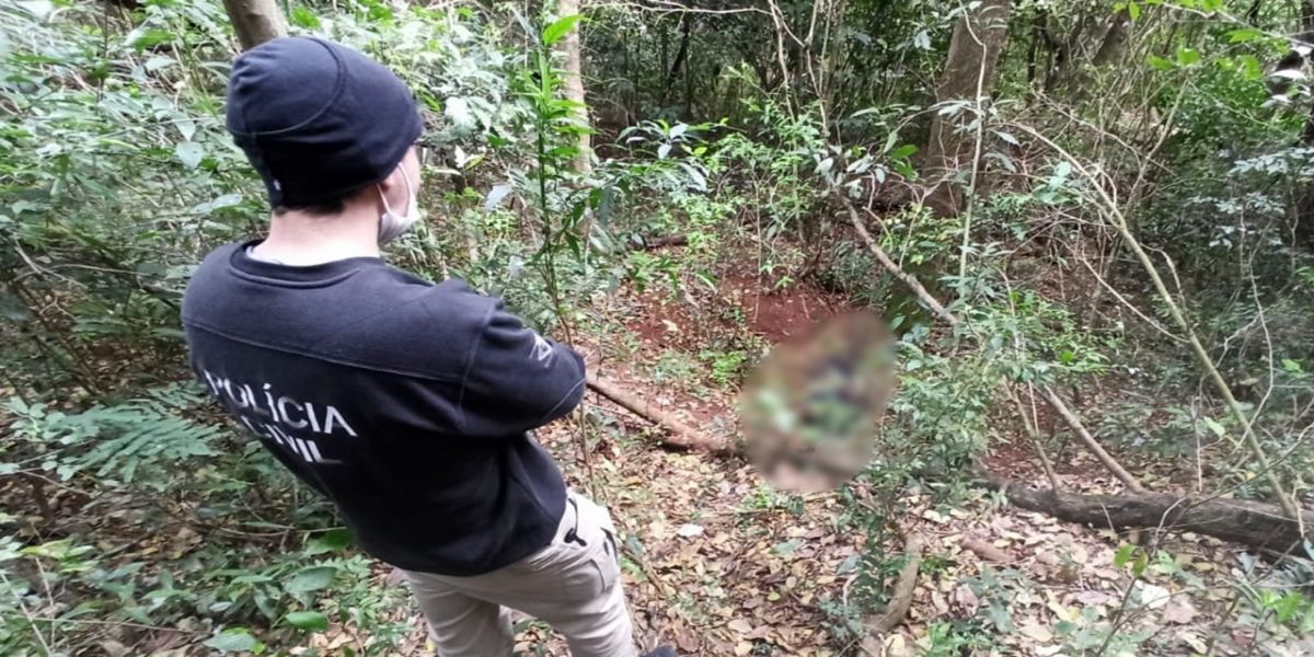 Corpo de mulher em decomposição é encontrado por trabalhadores em mata de Toledo