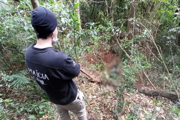 Corpo de mulher em decomposição é encontrado por trabalhadores em mata de Toledo