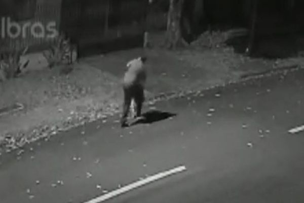 Imagem referente a notícia: Câmera de segurança registra vitima de estupro sendo arrastada em via pública no Bairro Coqueiral