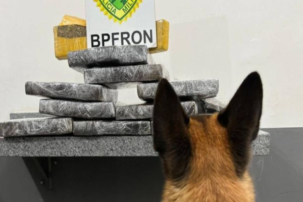 BPFRON apreende homem de 26 anos com droga em ônibus na cidade de Cascavel