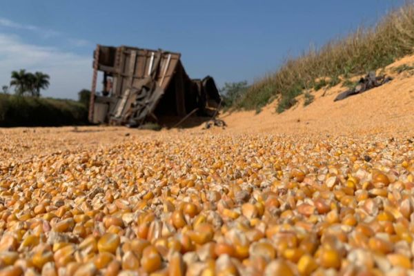 Imagem referente a notícia: Caminhão carregado com milho tomba na BR-467 no distrito de Sede Alvorada em Cascavel