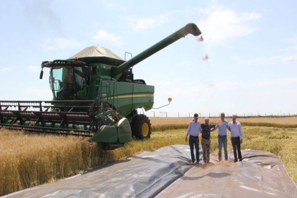 Brasil tem a chance de se tornar exportador de trigo, diz Ortigara