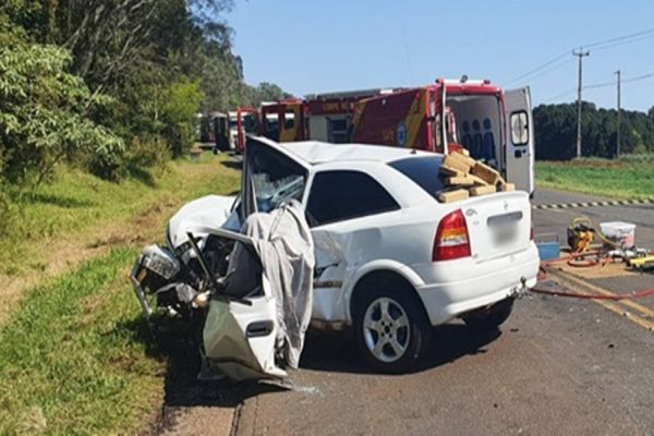 Imagem referente a notícia: Homem morre ao bater veículo carregado com drogas na PR-483 no sudoeste do Paraná