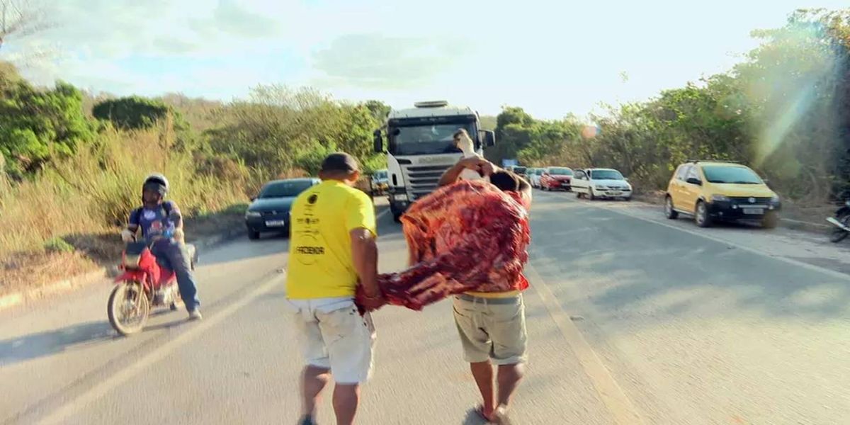 População corta carne de bois que morreram em rodovia do DF