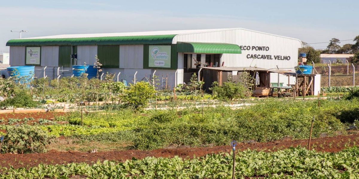 Campanha quer estimular ações permanentes de educação ambiental