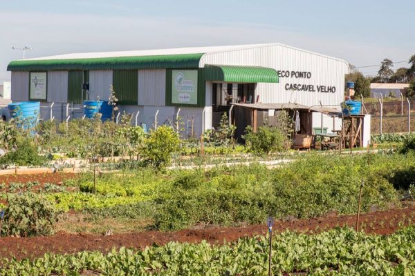 Campanha quer estimular ações permanentes de educação ambiental