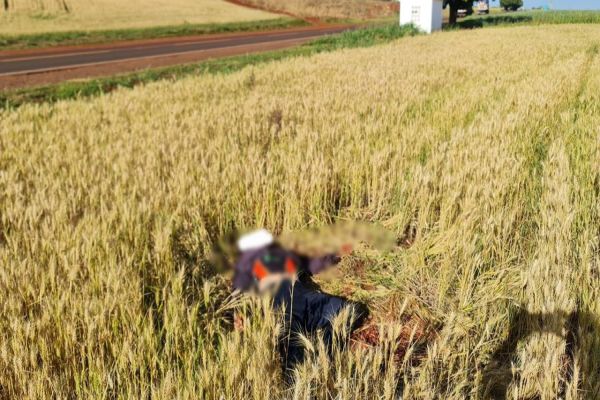 Imagem referente a notícia: Homem é encontrado esfaqueado e degolado em Santa Helena e suspeito é preso pela PRE