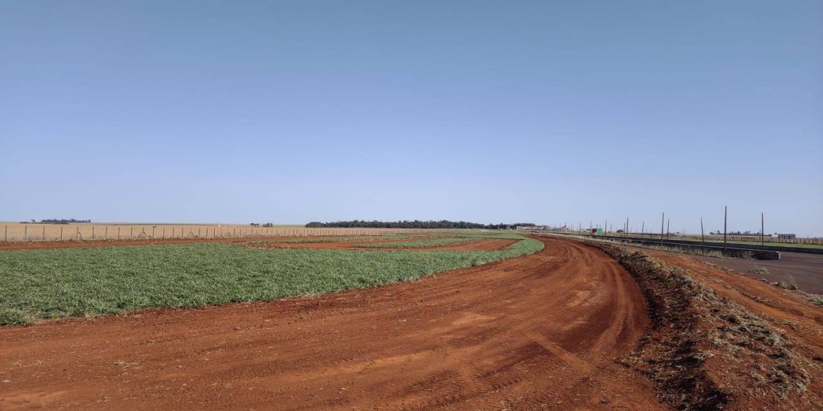 Toledo inicia a construção da pista de kartcross