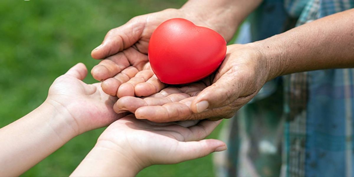Doadores de órgão terão direito à meia-entrada em eventos culturais e esportivos