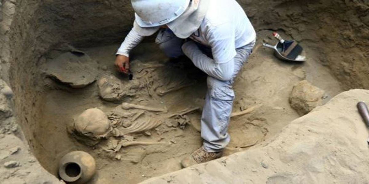 Vereador Vander Piaia solicita à Prefeitura a criação do cargo de arqueólogo