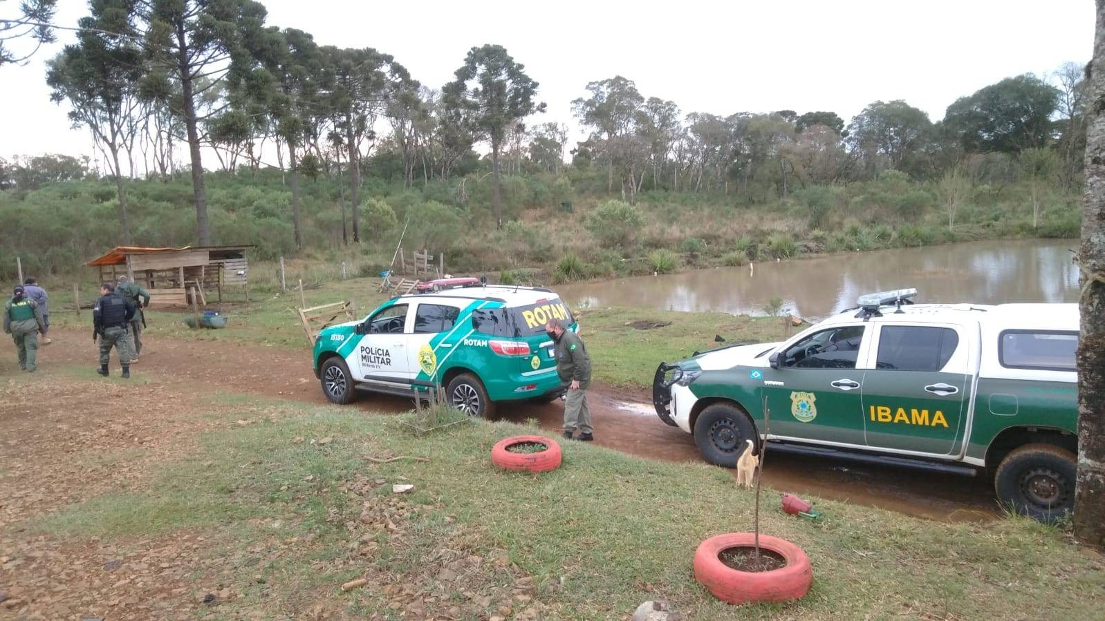 YouTuber é multado em R$100 mil por capturar animais usando armadilhas em Inácio Martins